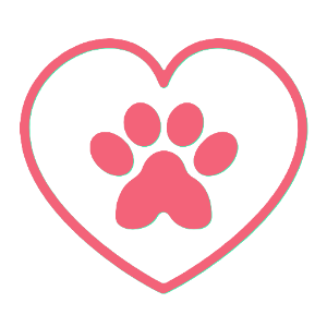 Keeping Your Furry Friends Hydrated During the Hot Summer Months